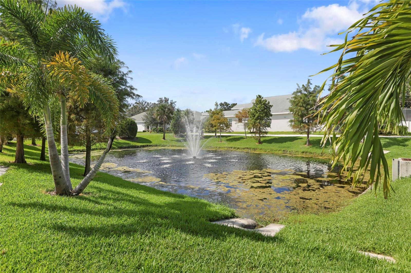 DUNEDIN COVE - Residential