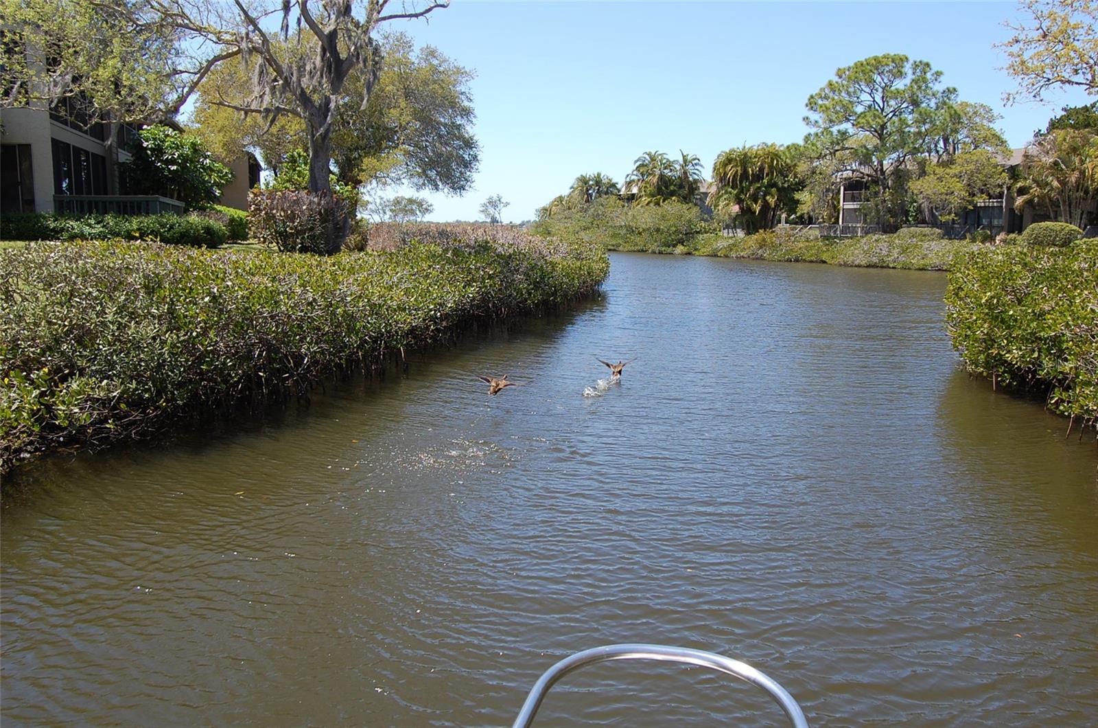 PELICAN COVE XIV - Residential Lease
