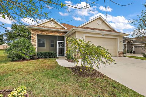 A home in MOUNT DORA