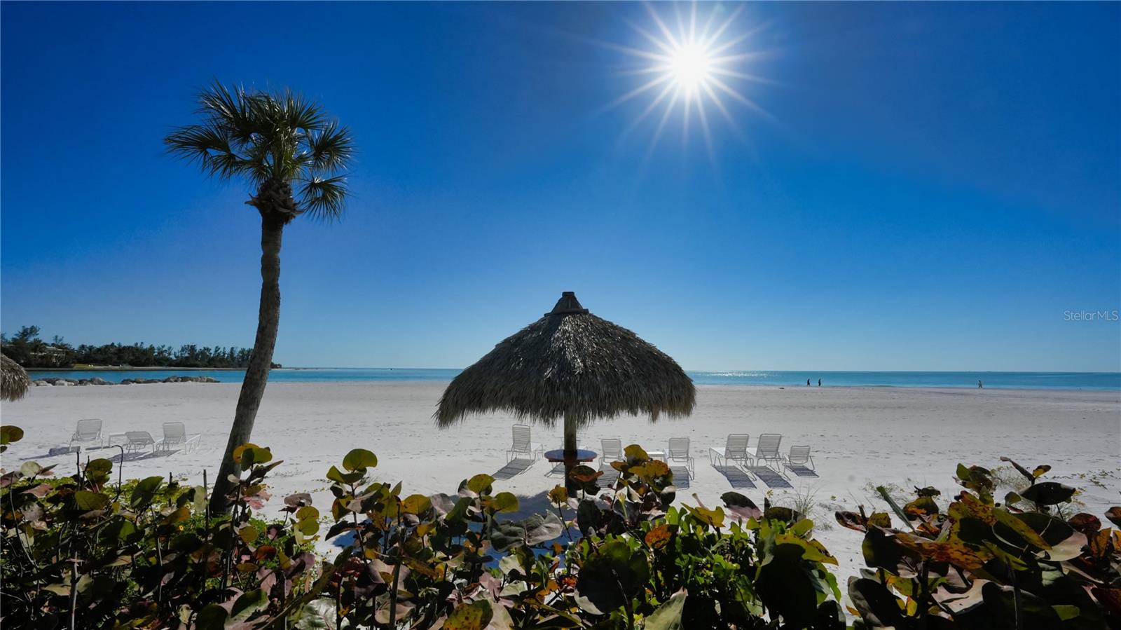 SANDS POINT - Residential