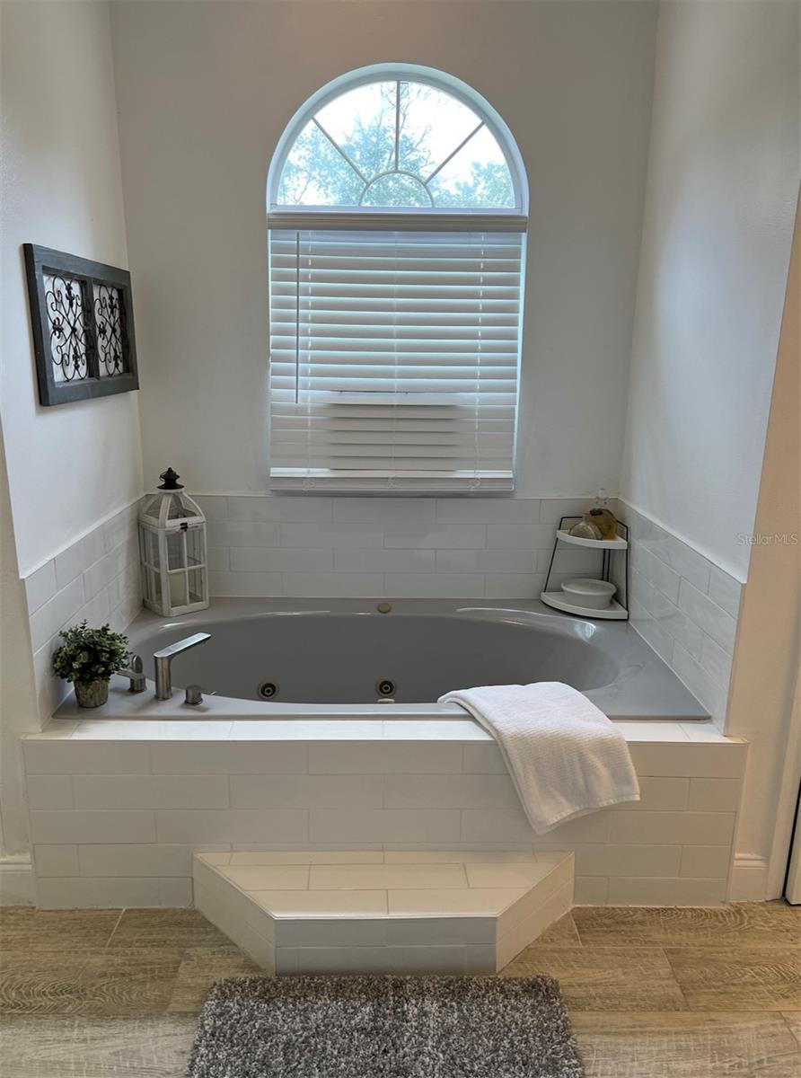 BAY LAKE RANCH - Residential