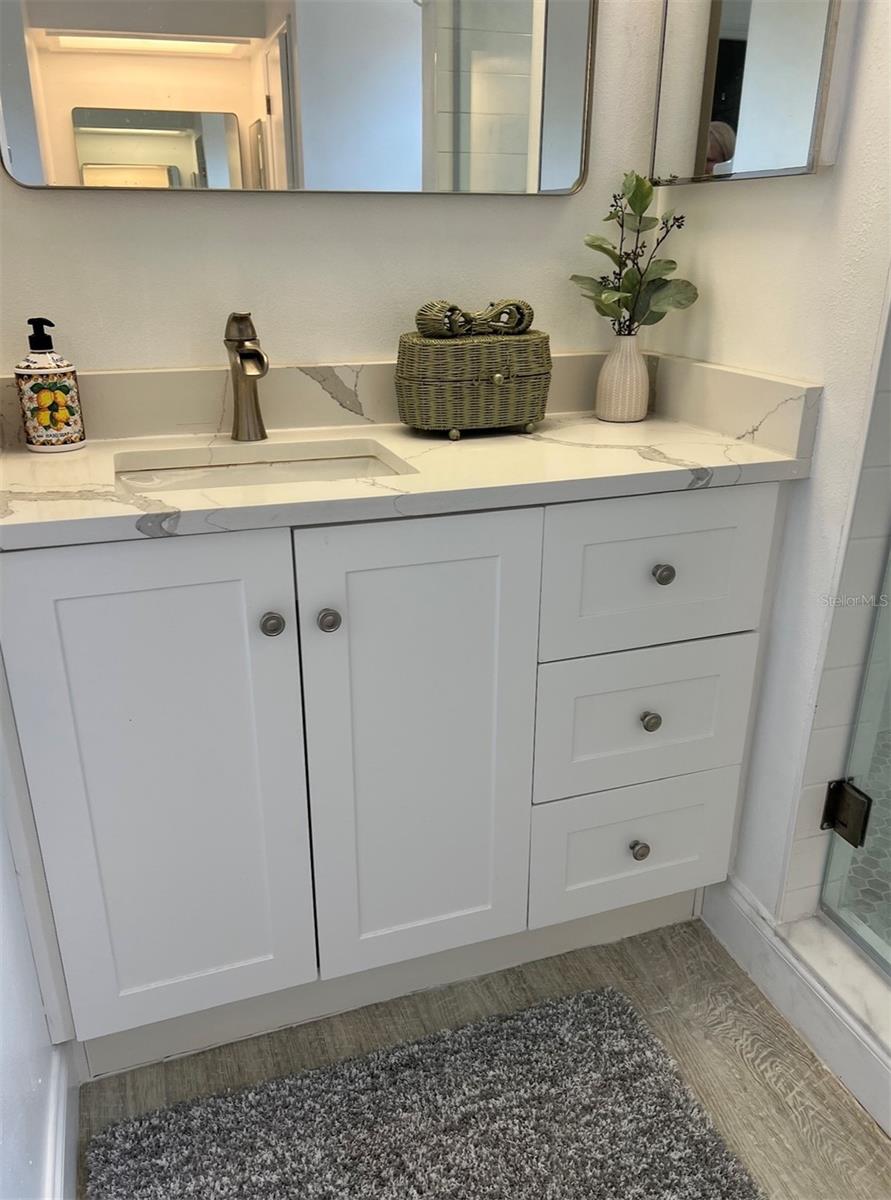 BAY LAKE RANCH - Residential