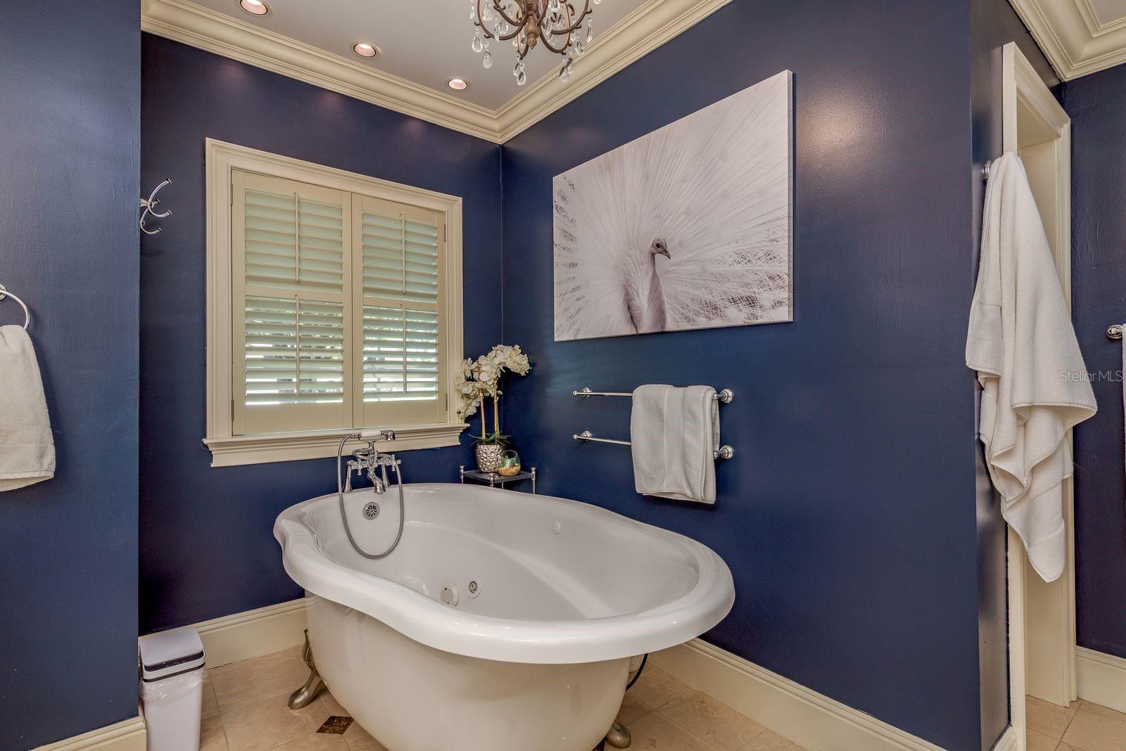 COACHMAN RIDGE TR A-II - Residential