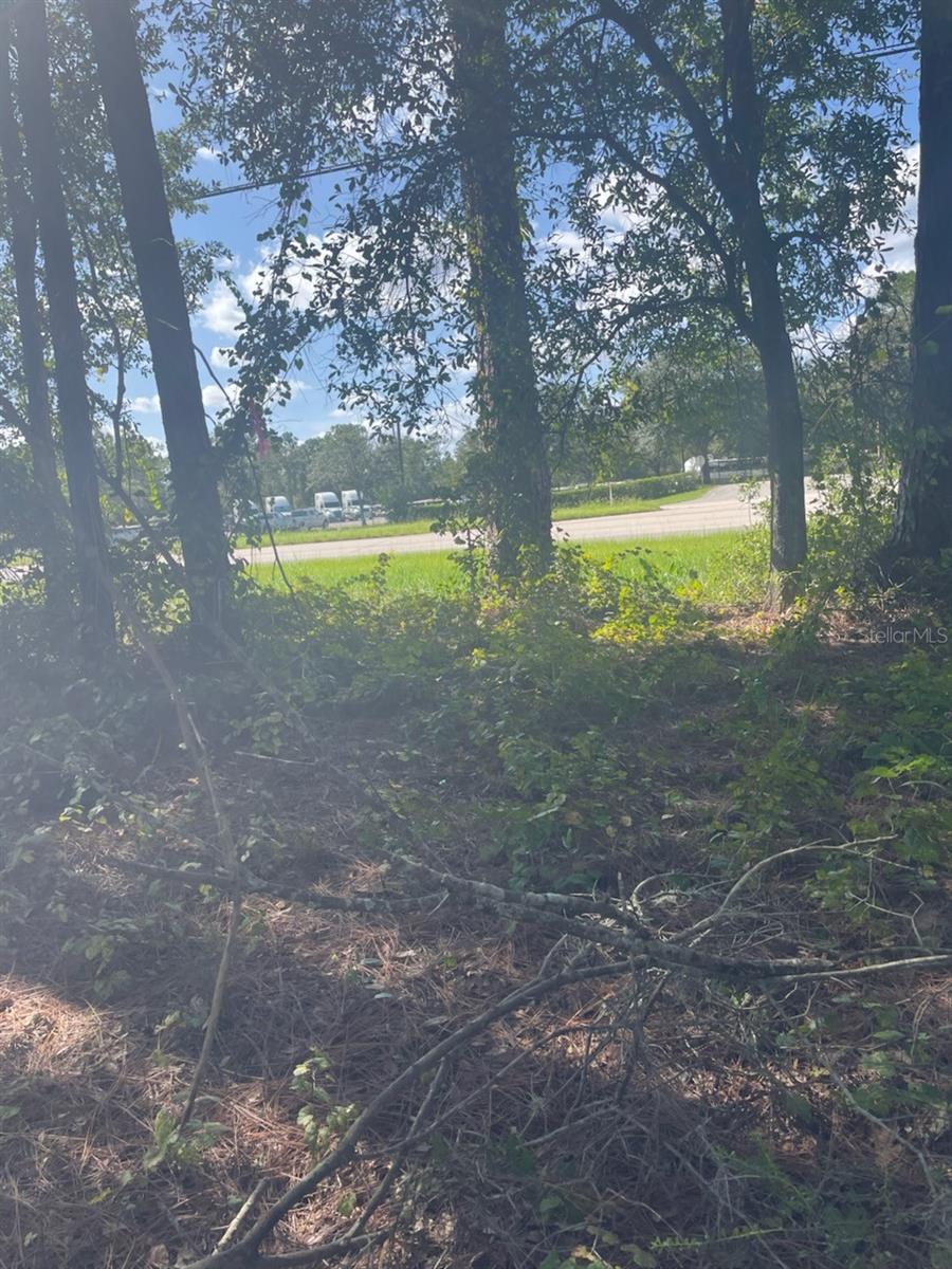 DAYTONA PARK ESTATES SEC A - Land