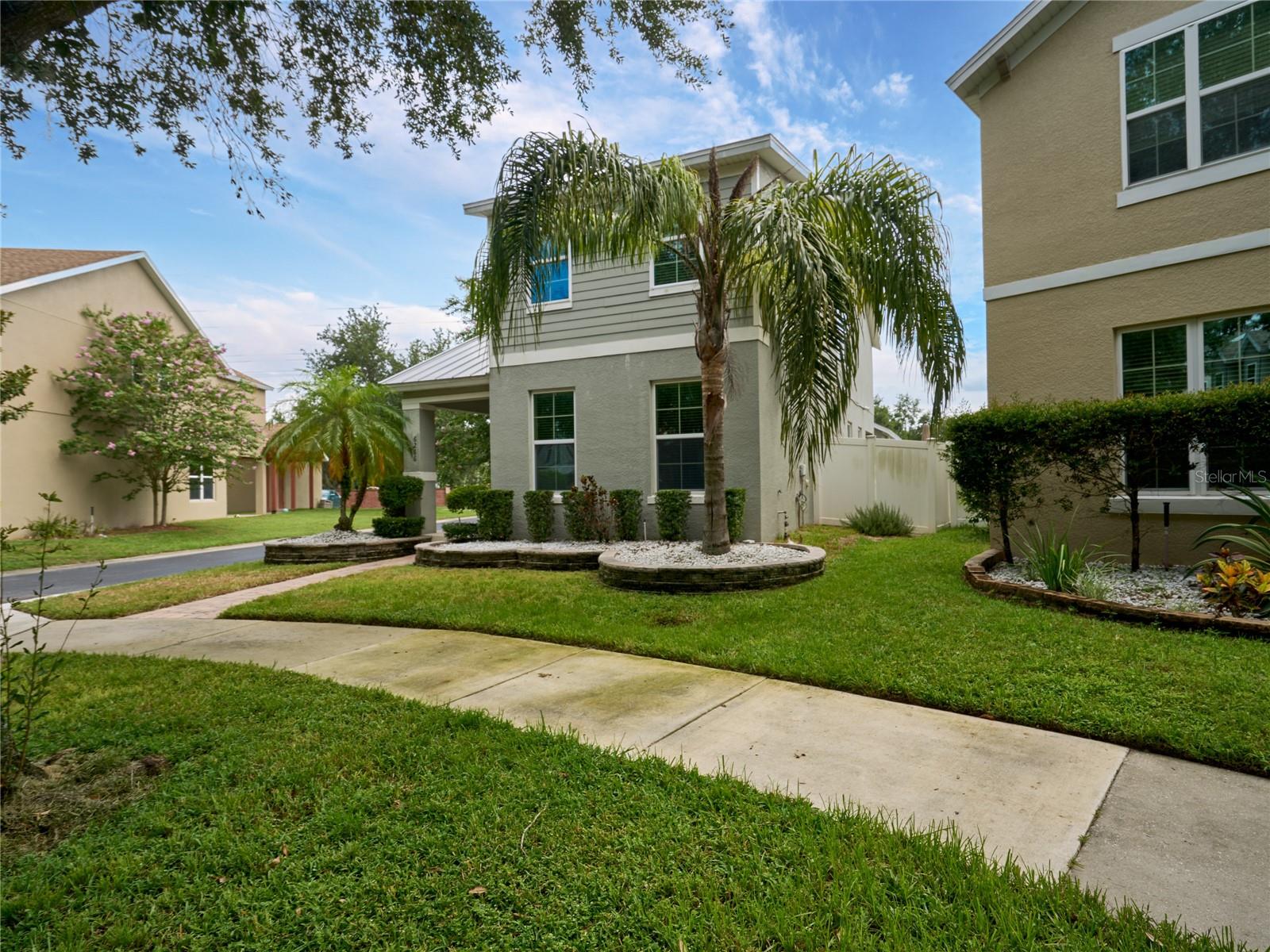 6266 GOLDEN DEWDROP TRAIL