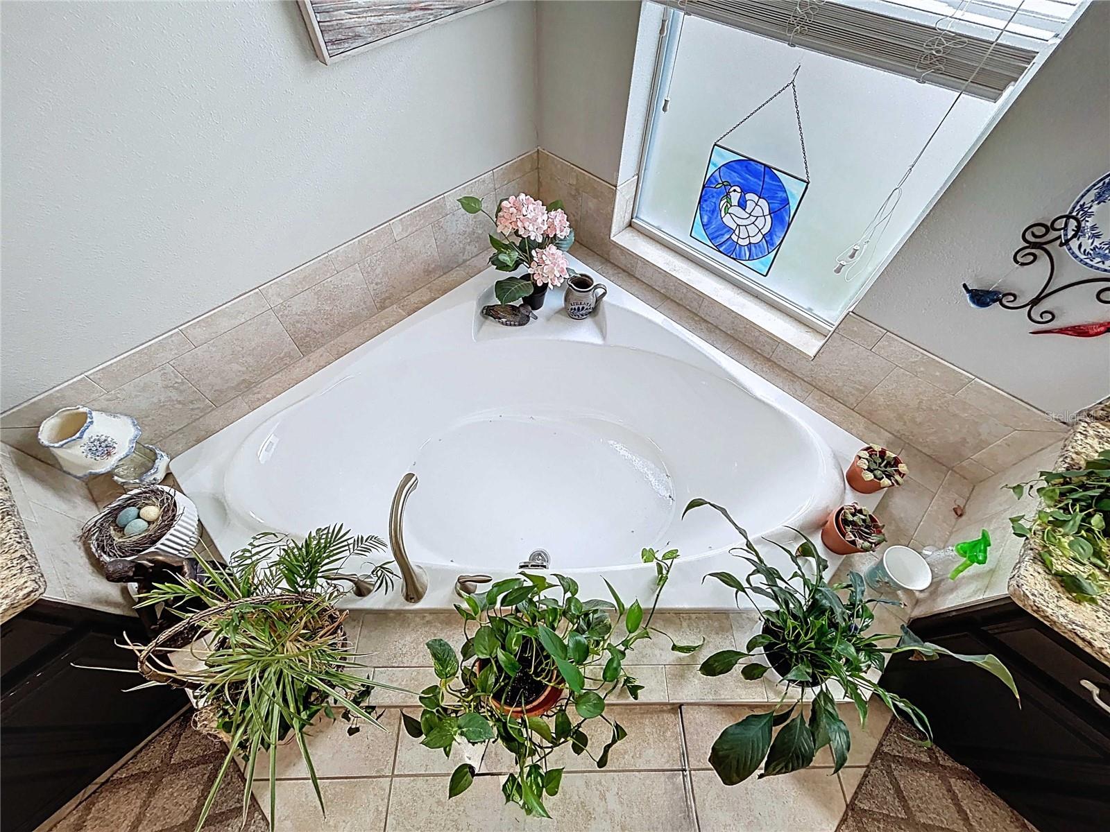 ENCLAVE AT BOYETTE - Residential