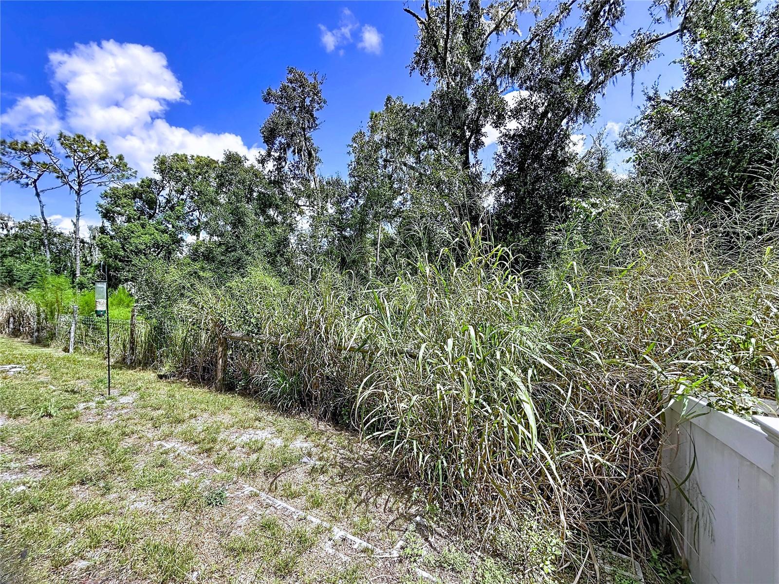 ENCLAVE AT BOYETTE - Residential