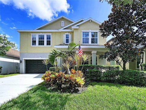 14256 BLUE DASHER DRIVE RIVERVIEW FL 33569