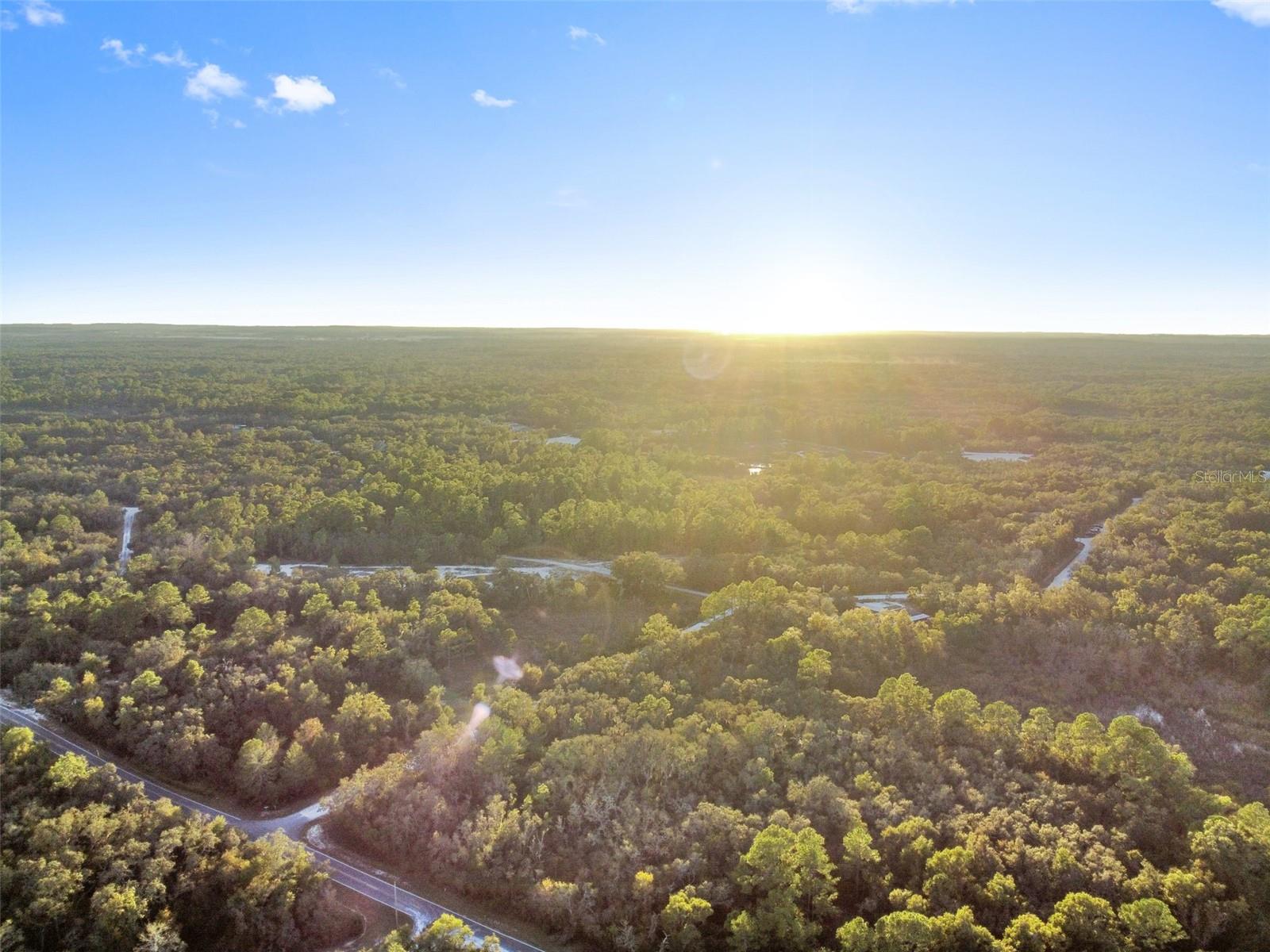 RIDGE MANOR ESTATE - Land