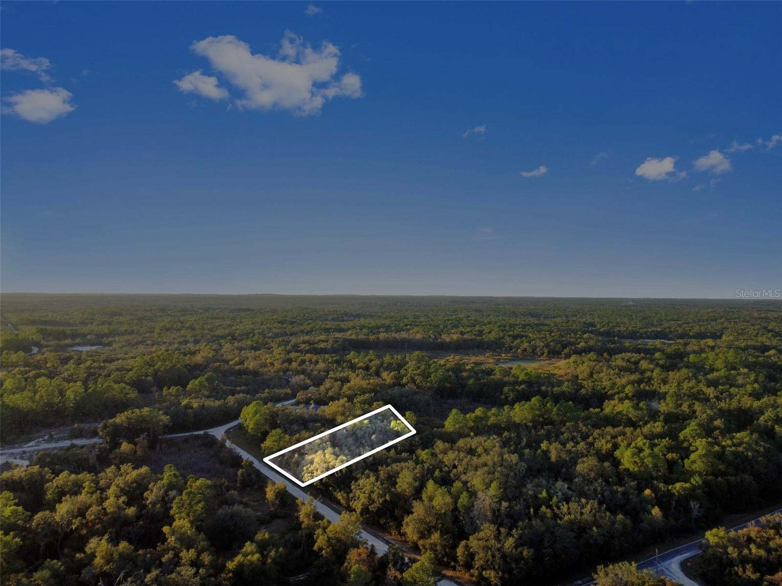 RIDGE MANOR ESTATE - Land