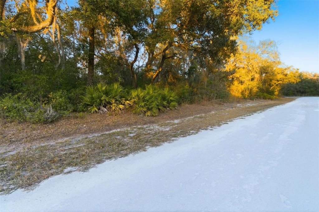 Photo of Riverstone Street, Webster, FL 33597 (MLS # TB8448266)