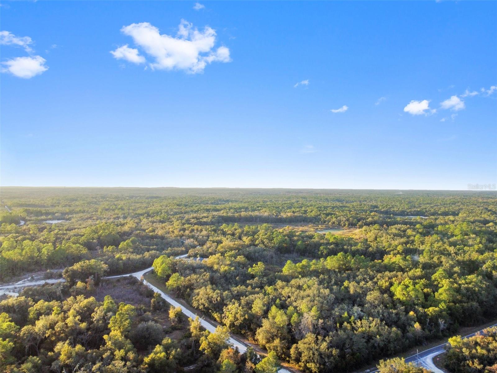 RIDGE MANOR ESTATE - Land