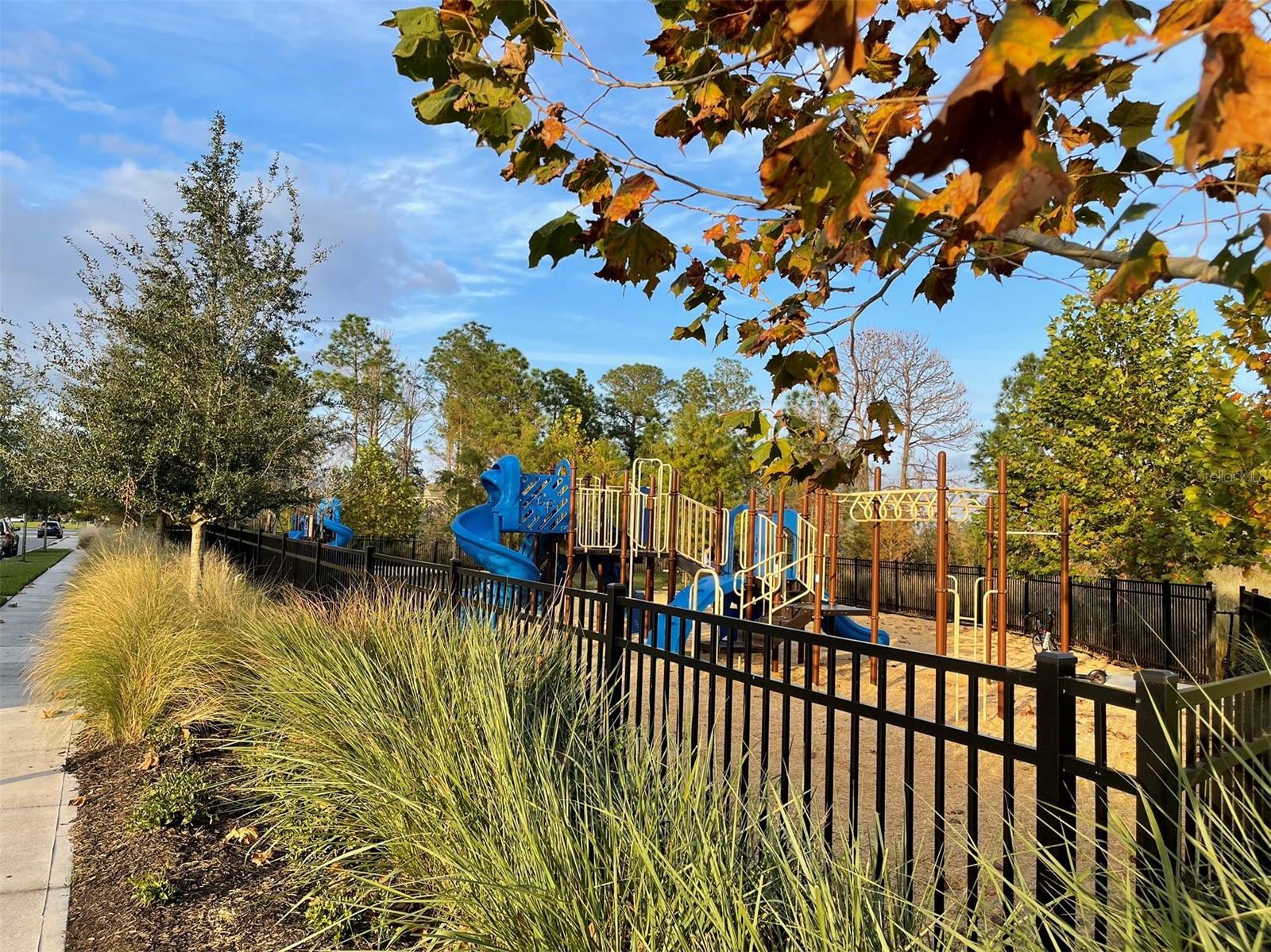 STOREY GROVE 50 - Residential Lease