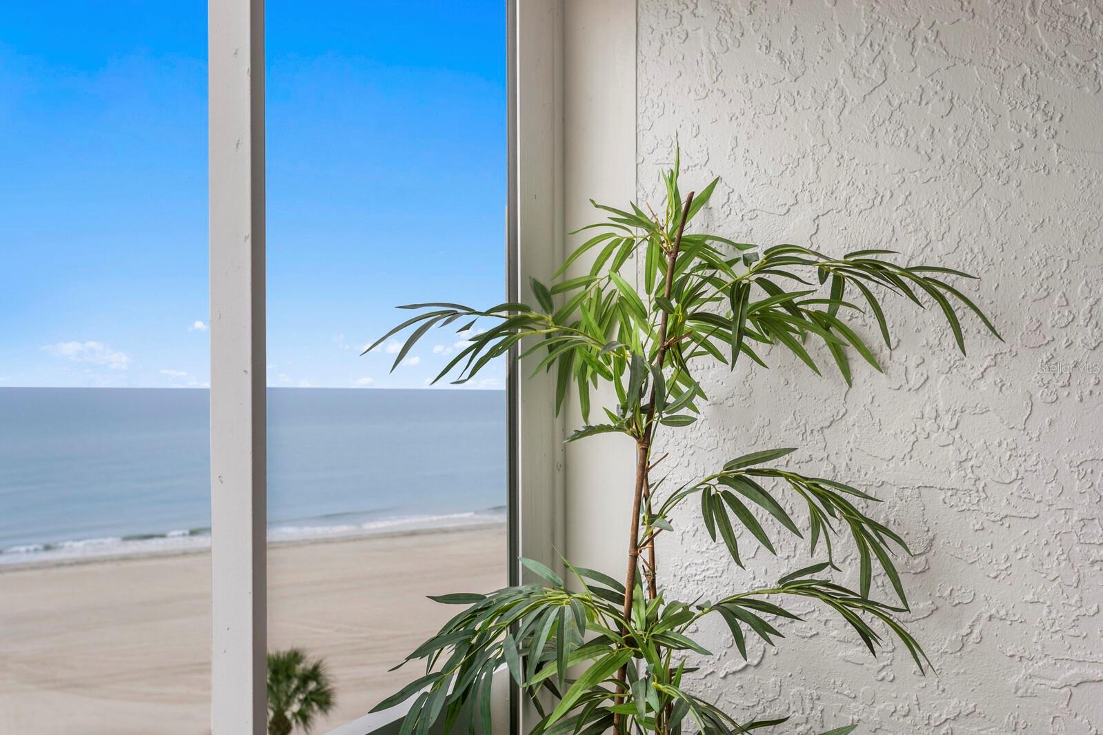 REDINGTON TOWERS 1 CONDO - Residential