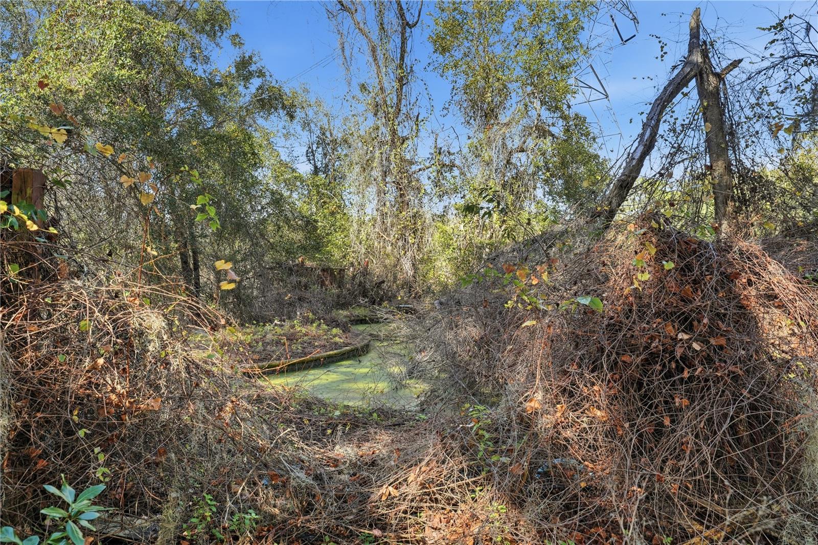 WILDWOOD RANCH - Residential