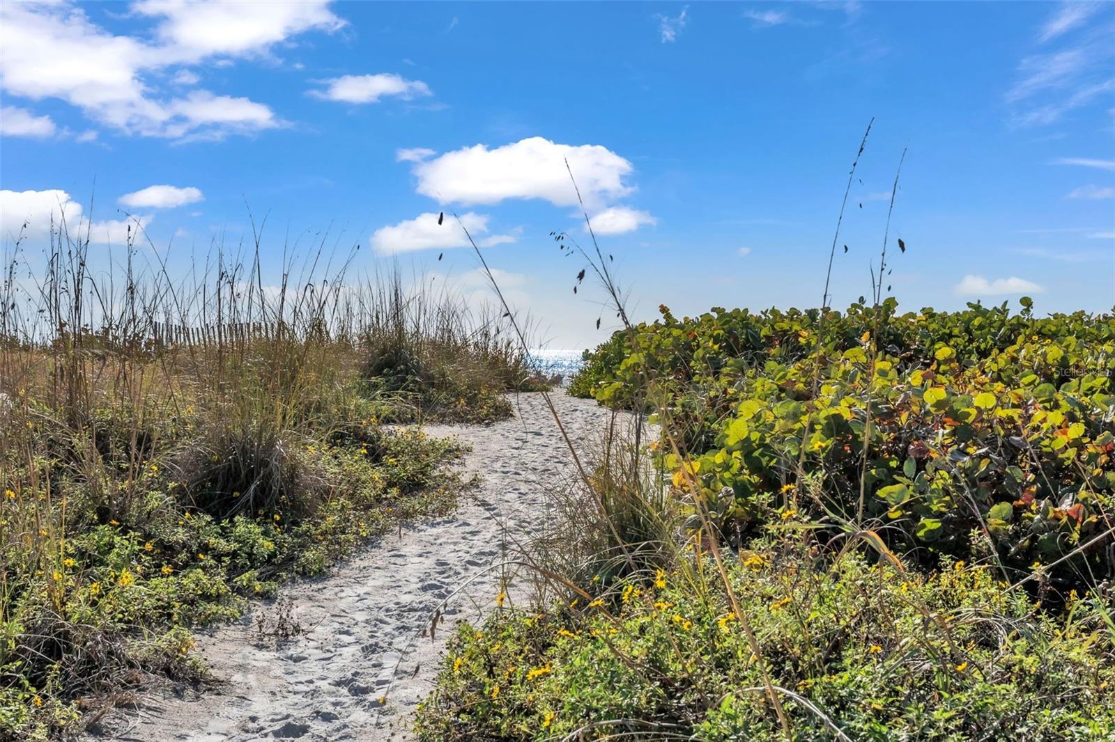 LONGBOAT SANDPIPERS - Residential