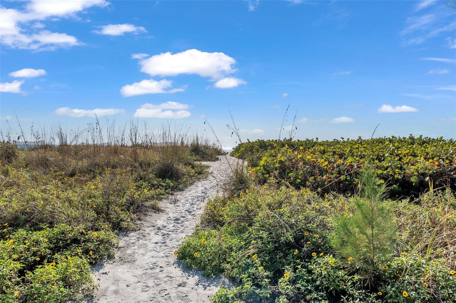 LONGBOAT SANDPIPERS - Residential
