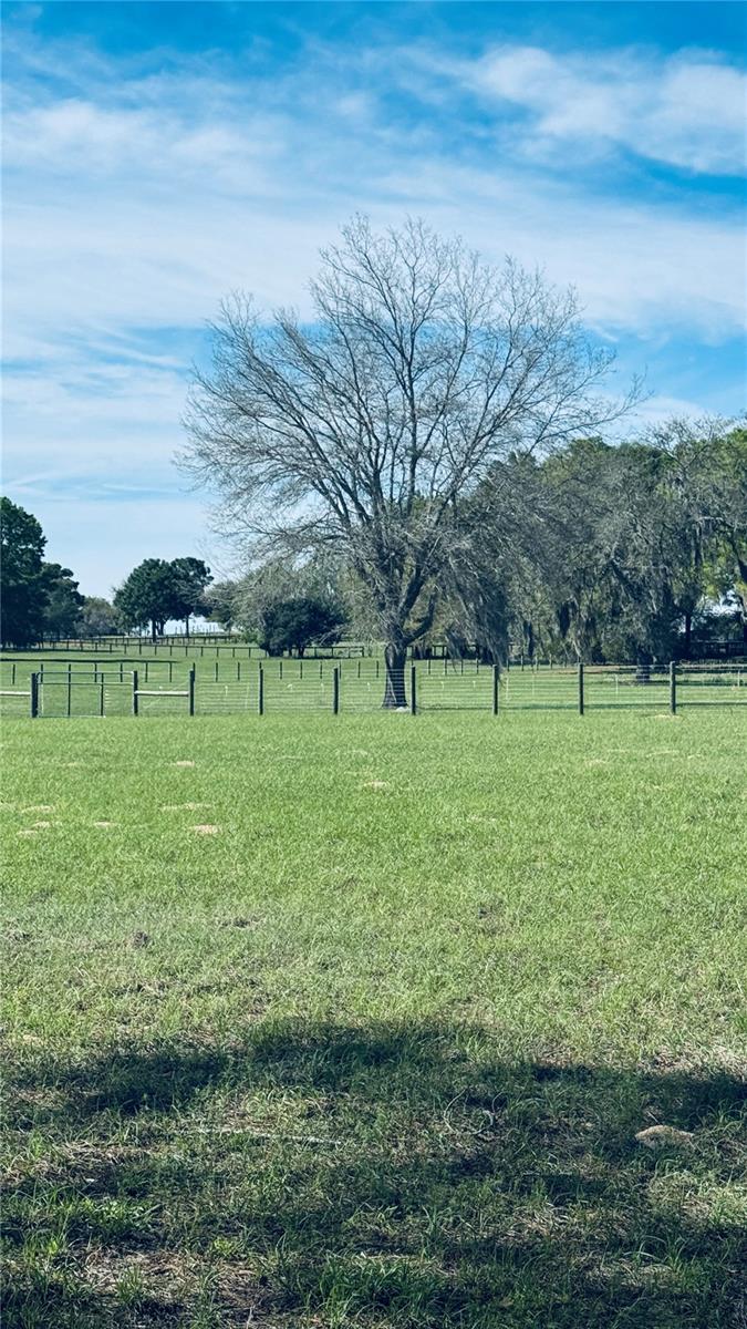 KING RANCH/FLORIDA RANCHETTES - Land