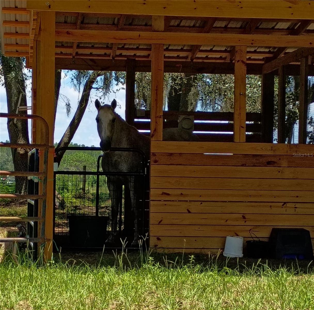 KING RANCH/FLORIDA RANCHETTES - Land