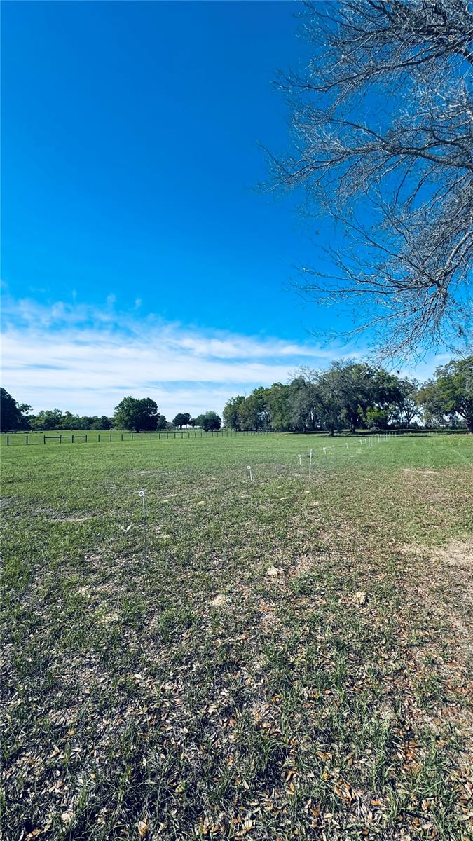 KING RANCH/FLORIDA RANCHETTES - Land