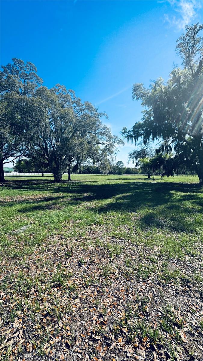 KING RANCH/FLORIDA RANCHETTES - Land