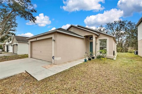 A home in WESLEY CHAPEL