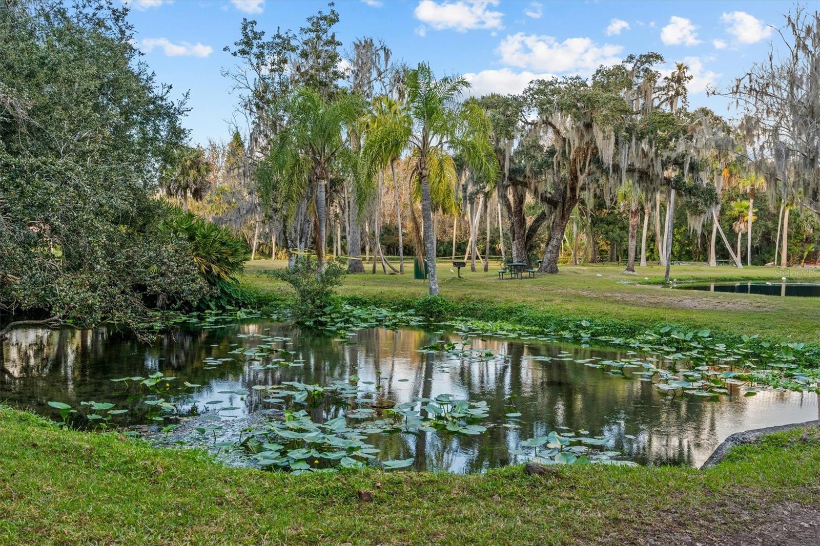 SPRINGS GLENWOOD VILLAGE SEC 1 REV THE - Residential