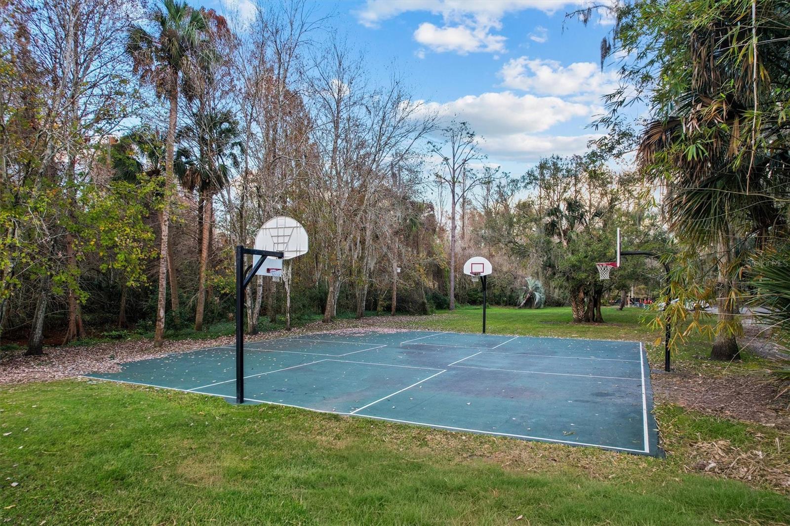 SPRINGS GLENWOOD VILLAGE SEC 1 REV THE - Residential