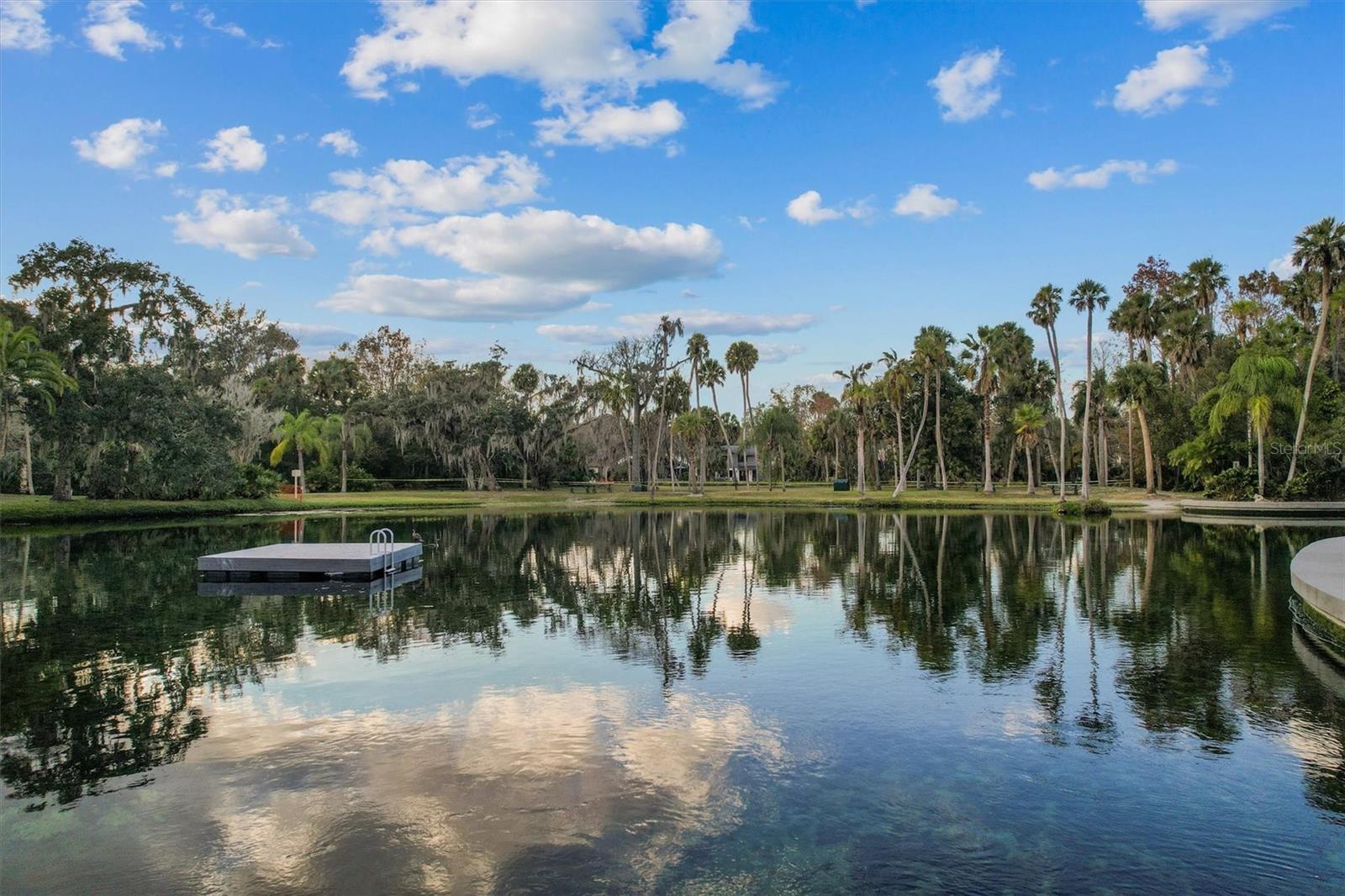 SPRINGS GLENWOOD VILLAGE SEC 1 REV THE - Residential