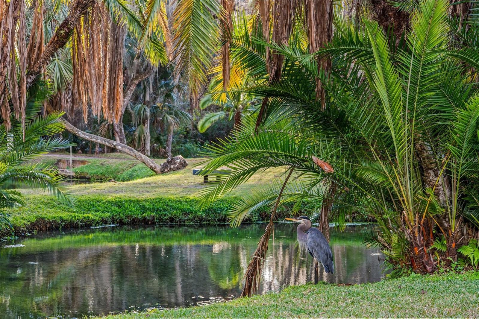 SPRINGS GLENWOOD VILLAGE SEC 1 REV THE - Residential