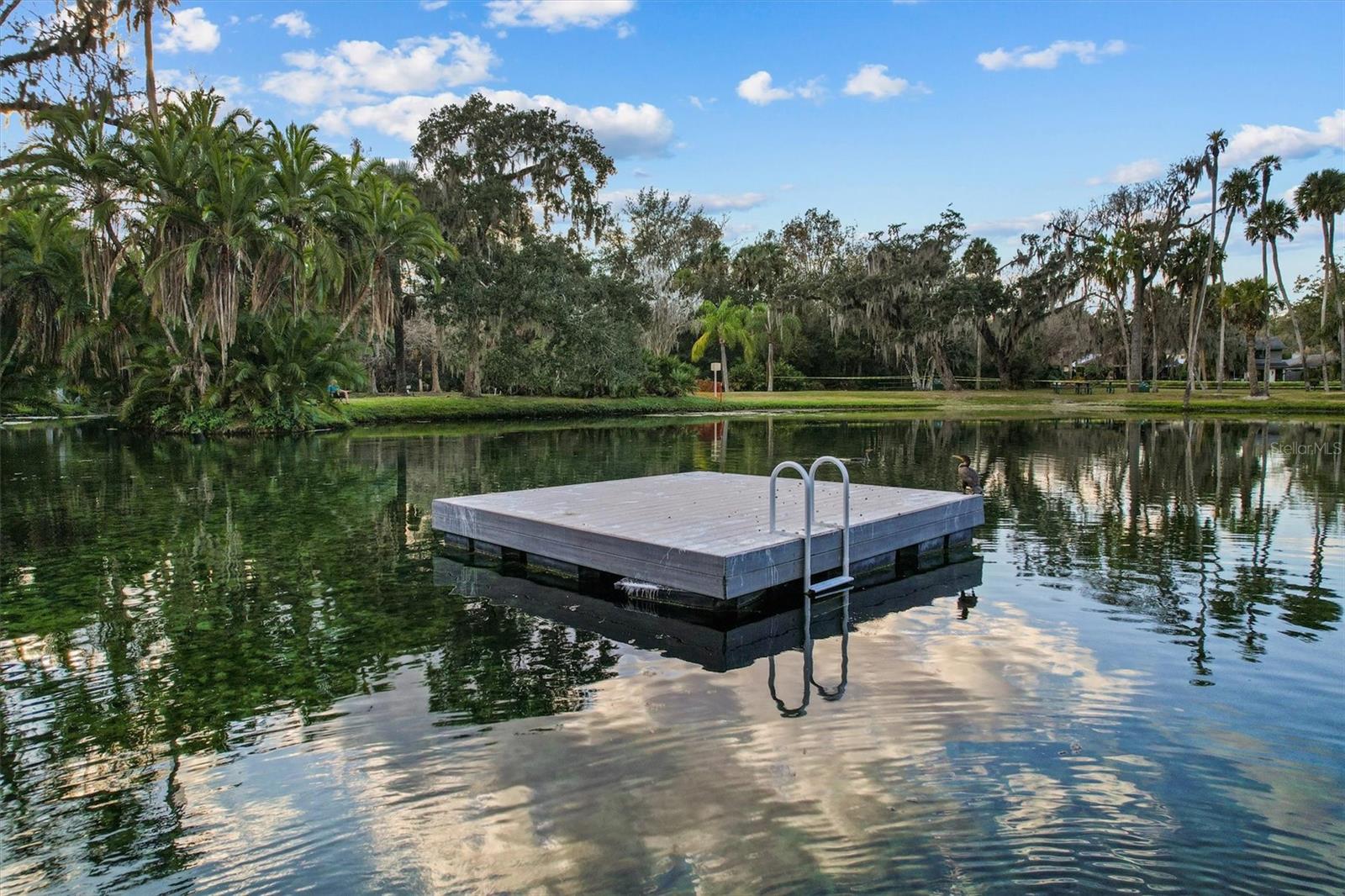 SPRINGS GLENWOOD VILLAGE SEC 1 REV THE - Residential