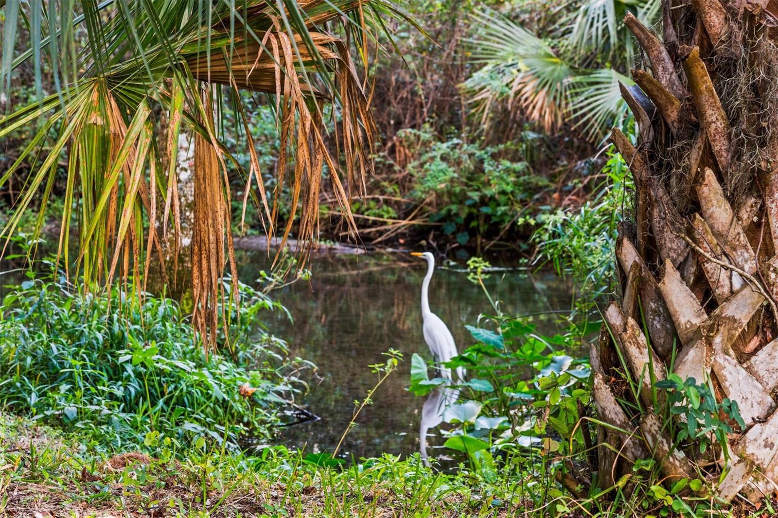 SPRINGS GLENWOOD VILLAGE SEC 1 REV THE - Residential