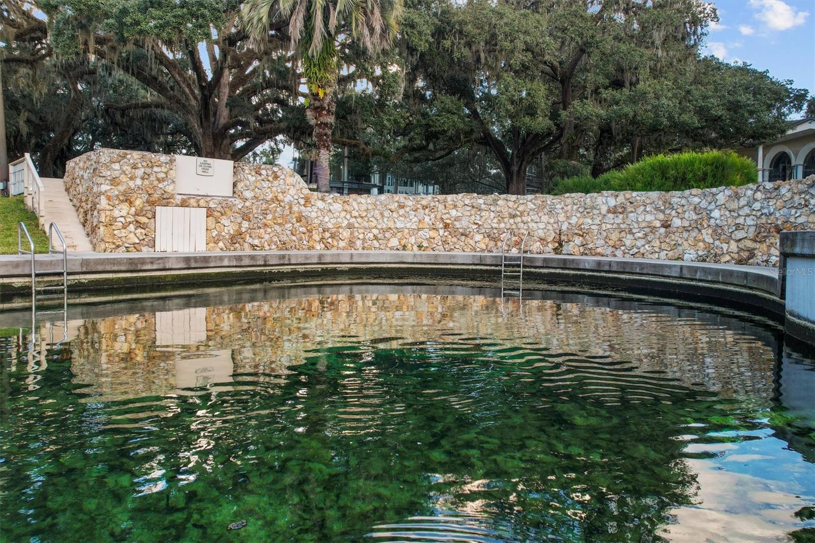 SPRINGS GLENWOOD VILLAGE SEC 1 REV THE - Residential