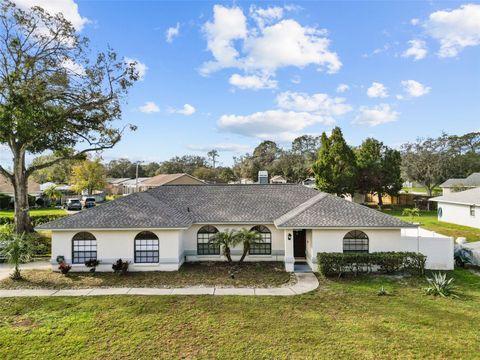 A home in LAND O LAKES