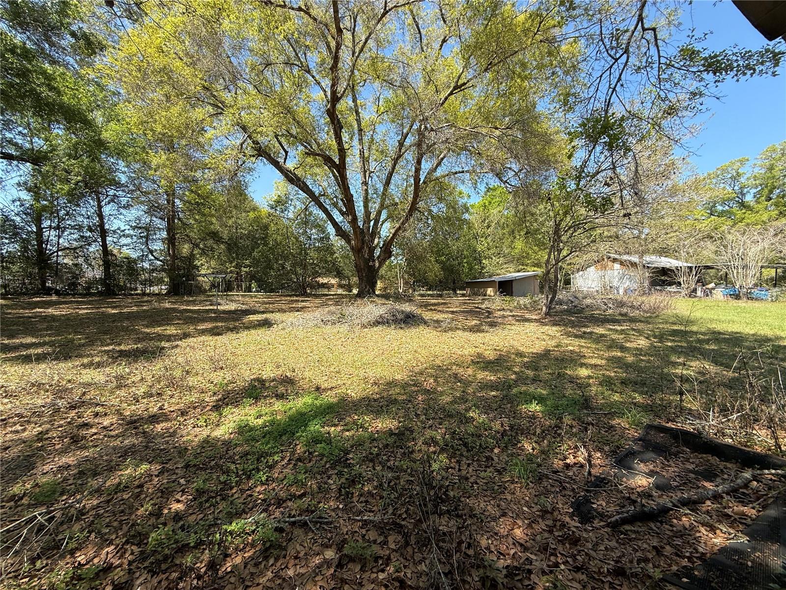 FORT KING ACRES - Residential