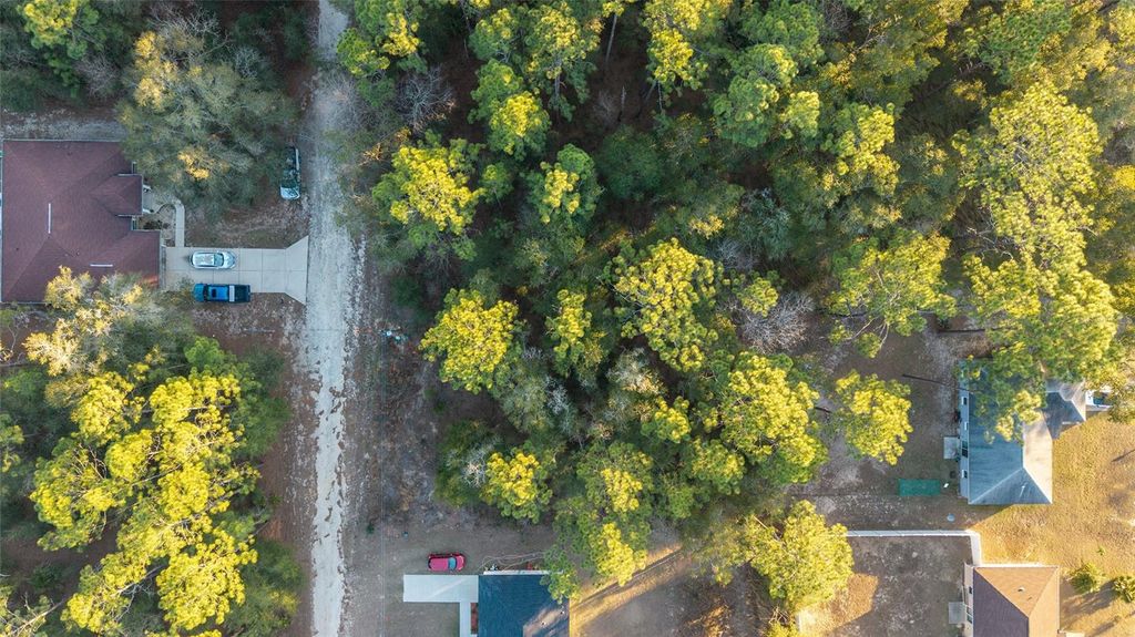 Photo of 4160 SW 159th Avenue, Ocala, FL 34481 (MLS # OM719603)