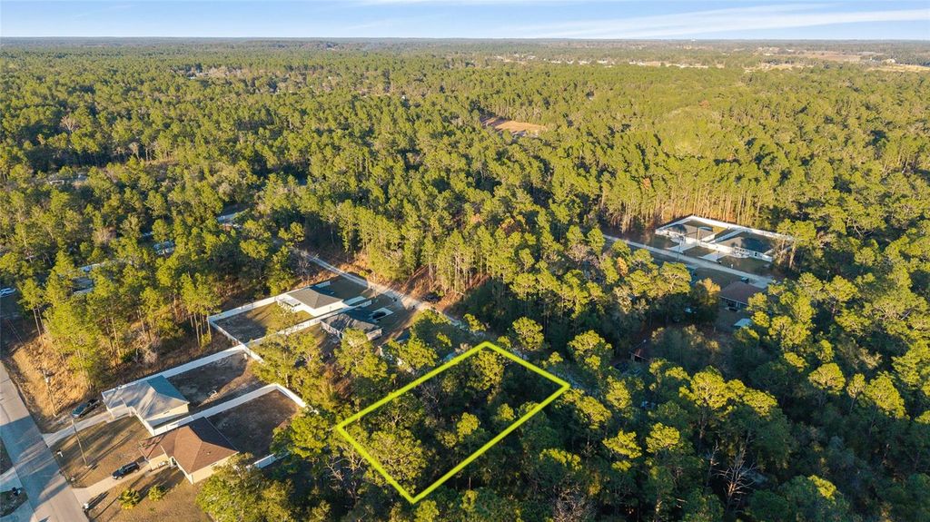 Photo of 4160 SW 159th Avenue, Ocala, FL 34481 (MLS # OM719603)