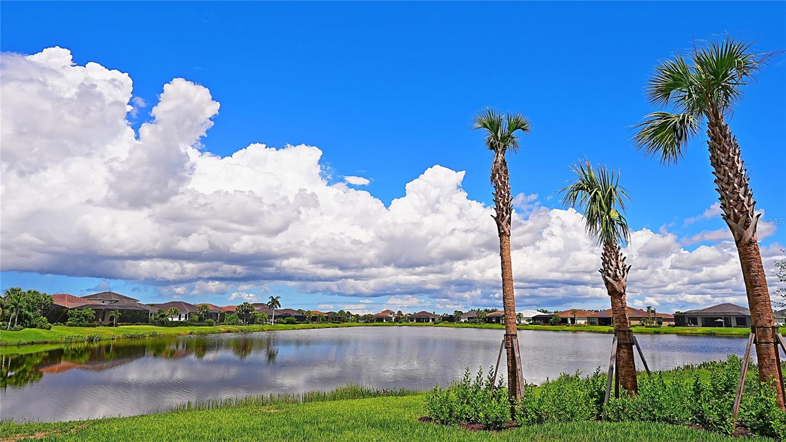 ARTISTRY PH 2C & 2D - Residential Lease