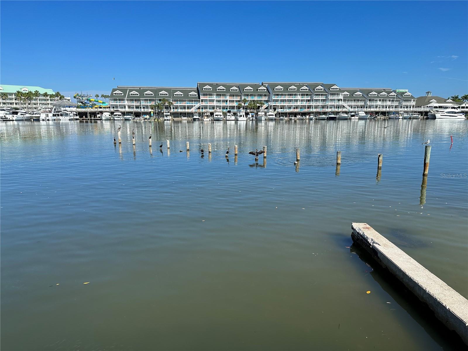 SHIPWATCH - Residential Lease