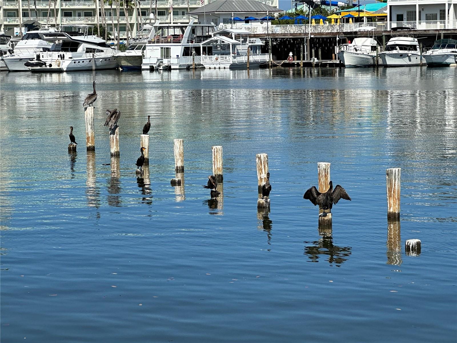 SHIPWATCH - Residential Lease