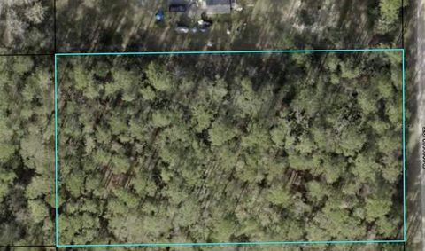 2304 BANANA STREET BUNNELL FL 32110