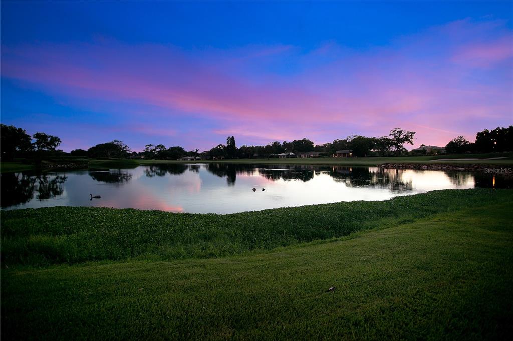 BAY HILL - Residential