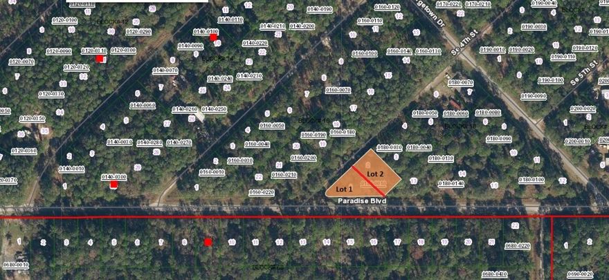 Beautiful Lot in Paradise Lakes nestled in a serene community near Lake George and Crescent Lake Conservation Area, this beautiful wooded lot offers the perfect opportunity to build your dream home. Located just a few blocks from the stunning Lake George, enjoy easy access to a boat ramp, fishing pier, and the endless possibilities of boating on both the St. Johns River and Lake George. Georgetown Marina and Crescent City & Beach are also nearby, providing a wealth of outdoor activities and relaxation. Known for its exceptional Bass Fishing! This tranquil lot in Paradise Lakes offers the best of both worlds – a peaceful wooded setting with proximity to lakes, nature, and recreation. Adjacent lot also available; which will give you .50 acre if you need more space. Don’t miss your chance to make this slice of paradise yours!