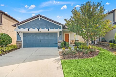 5348 FALLEN LEAF DRIVE RIVERVIEW FL 33578