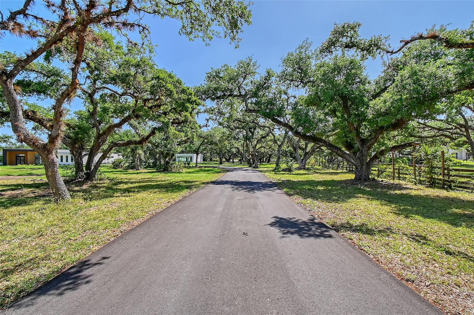 7200 CHAMELEON WAY