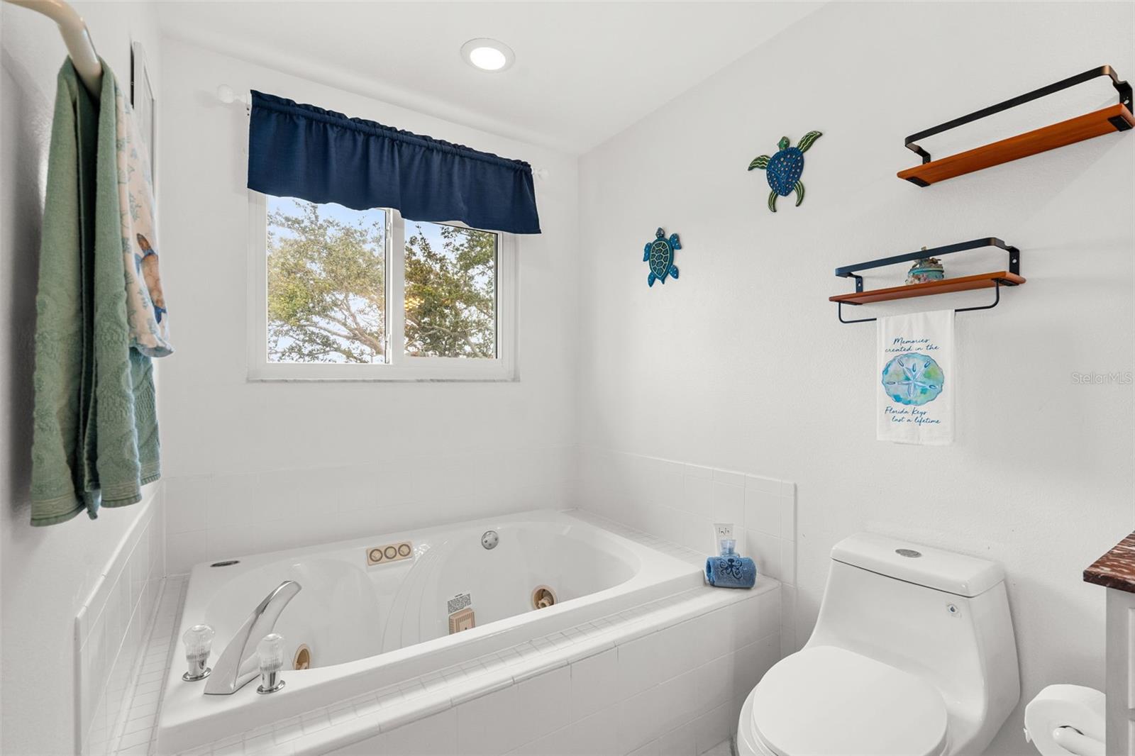 PALMETTO SKYWAY REP - Residential