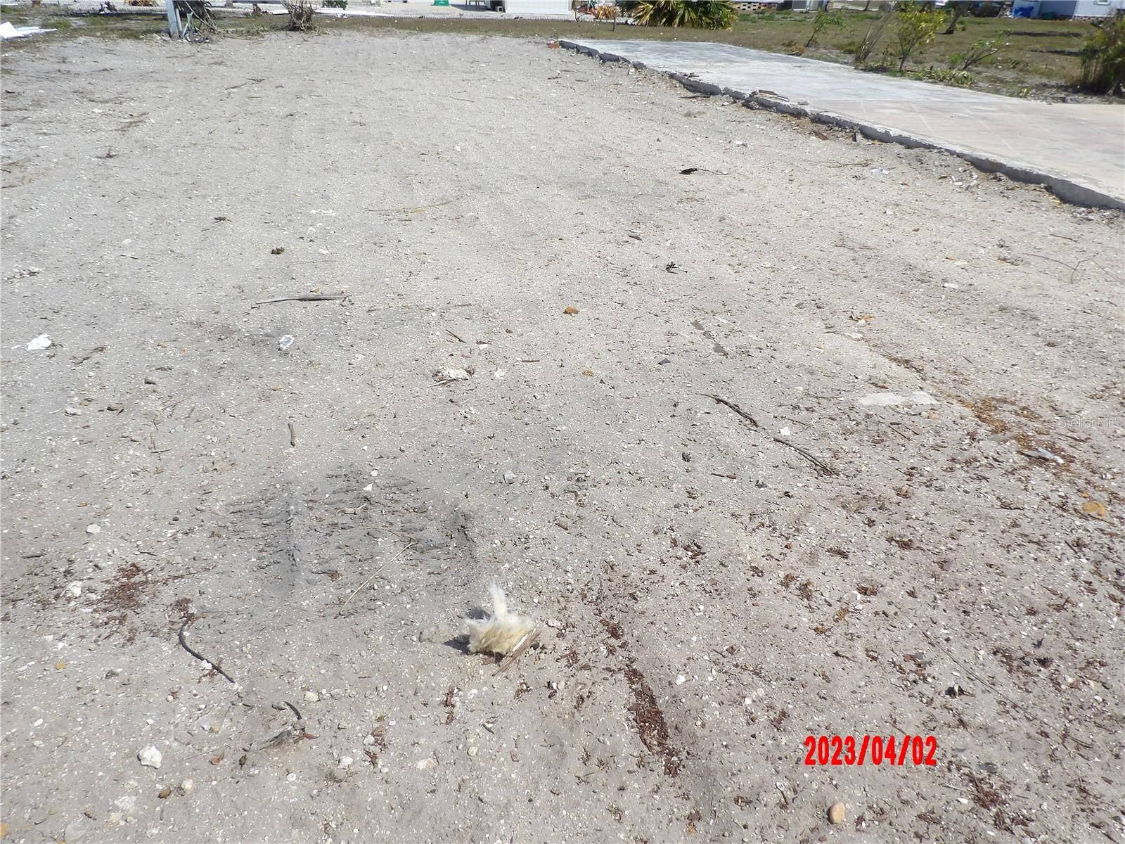 LEMON BAY ISLES PH 02 - Land