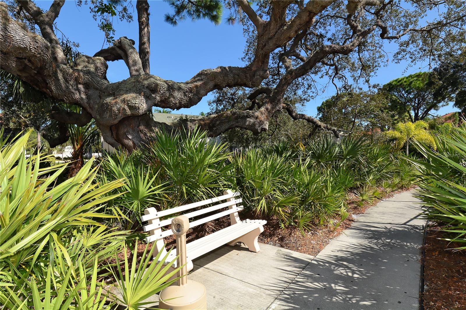 SHOREWALK BATH & TENNIS CLUB 14 - Residential Lease