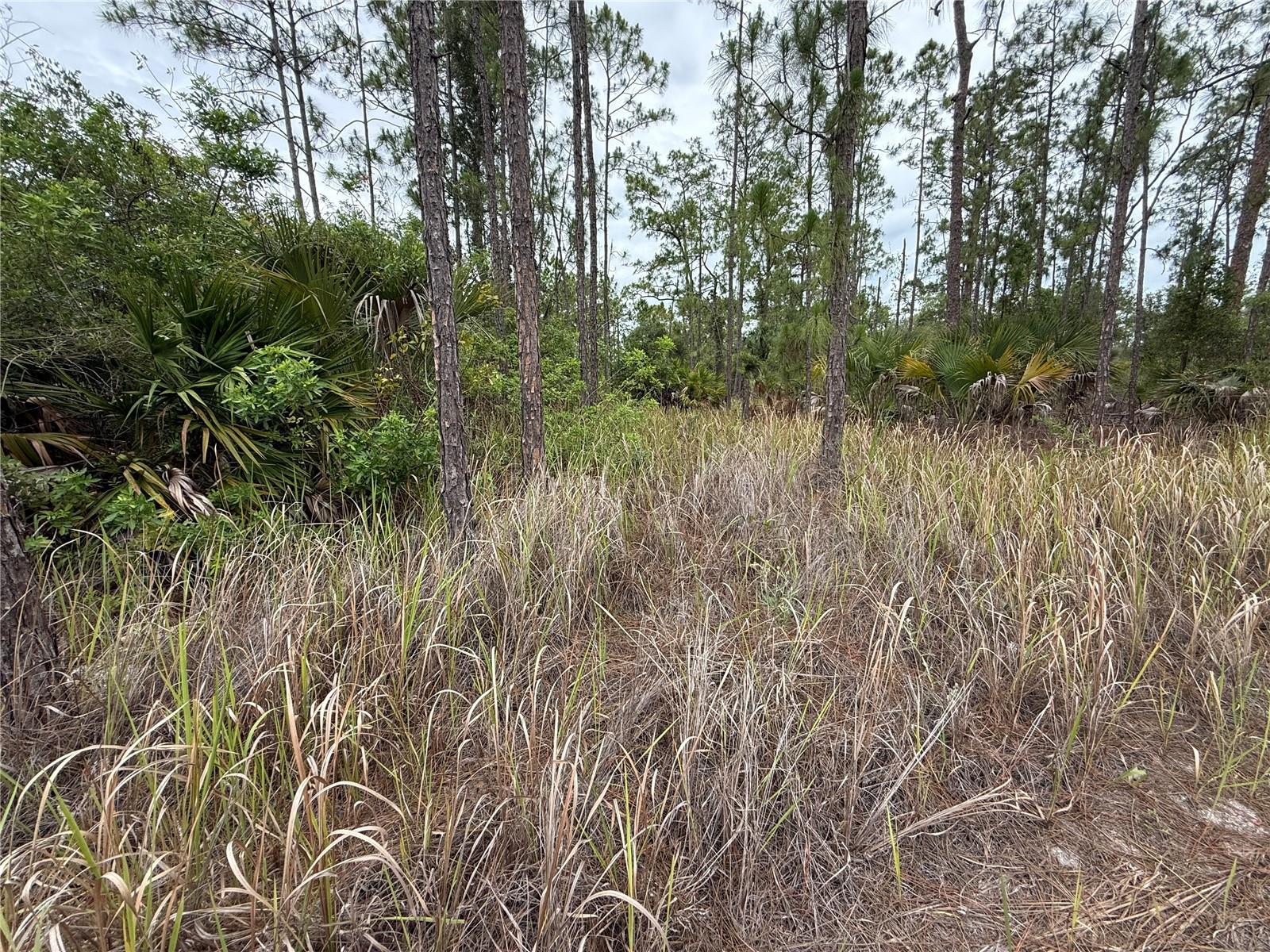 LEHIGH ACRES - Land
