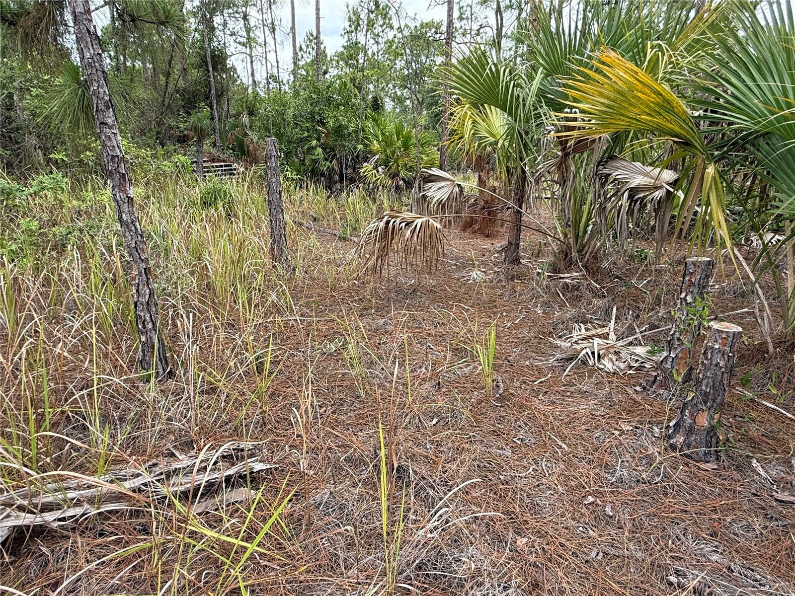 LEHIGH ACRES - Land